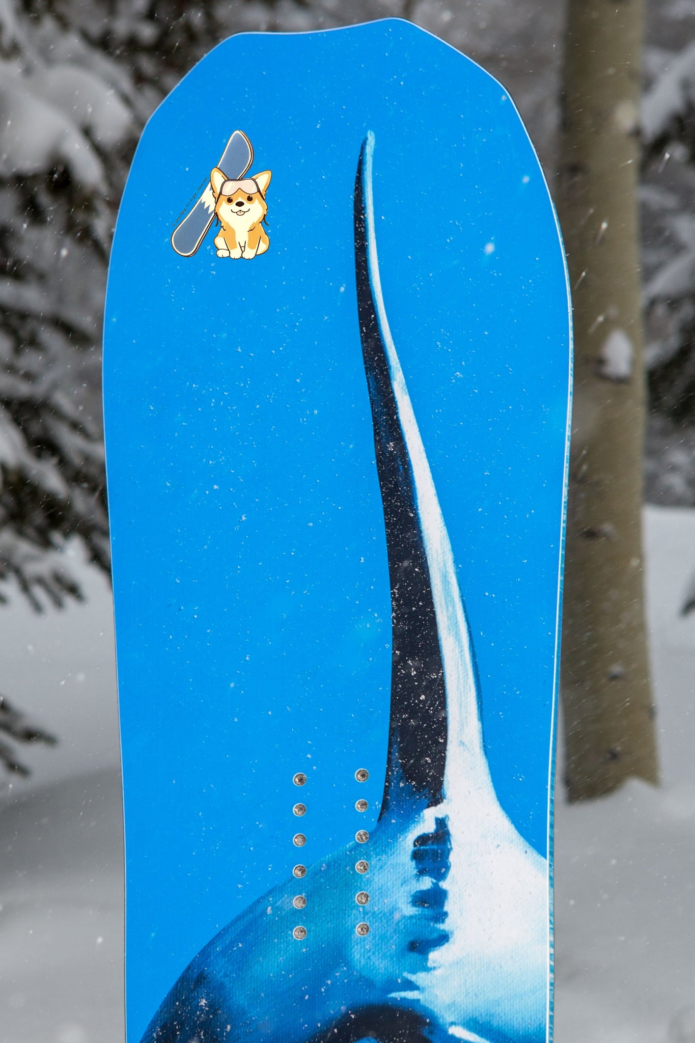 Corgi With Snowboard Sticker Sticker Tworgis 